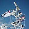 Glimpses on Losinj